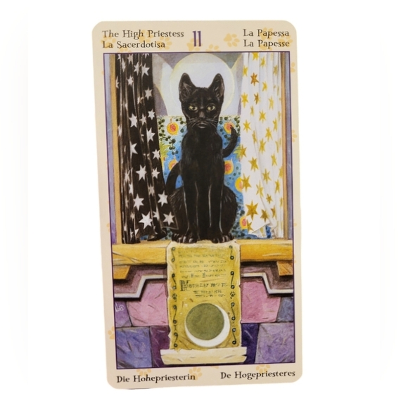 🐈‍⬛ Tarot of Pagan Cats 🐈‍⬛ Like New! - Picture 4 of 4